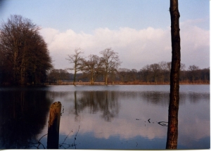 F08 Hoog water Riethuisweg 1-1-1994 2